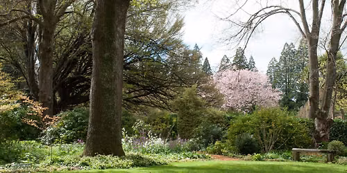John Hall - Remembered in the Landscape Talk