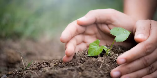 Earth Day at Please Touch Museum