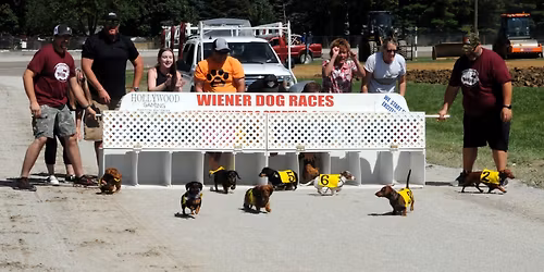 Fair Grounds - Wiener Dog Races