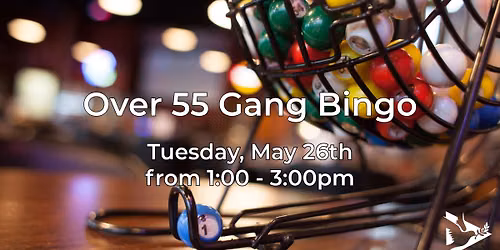 Over 55 Gang Bingo
