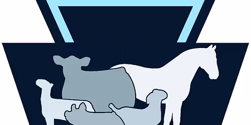 ECRRA Championship Show( The Terry Helder Memorial Ranch Show) at KILE Region 1-2-3 Full Slate