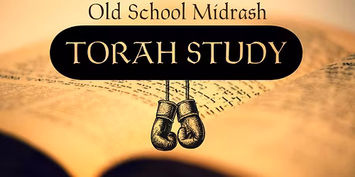 Weekly Torah Midrash!