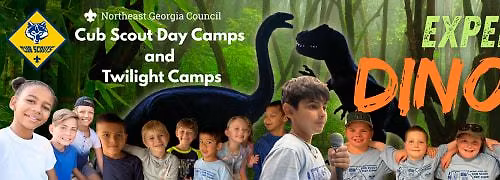 Toccoa Twilight Camp
