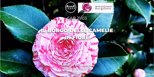 Il Borgo delle Camelie in Fiore