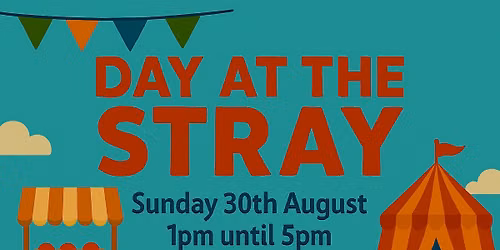 Day at the Stray