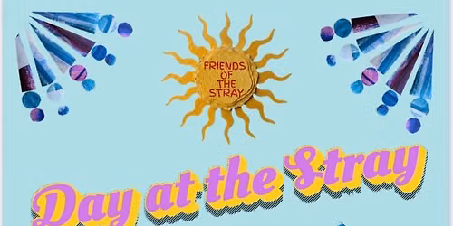 Day at the Stray