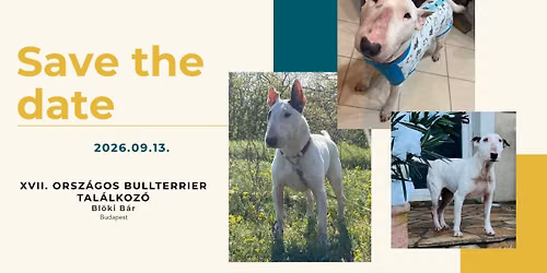 XVII. Orsz\u00e1gos Bullterrier Tal\u00e1lkoz\u00f3