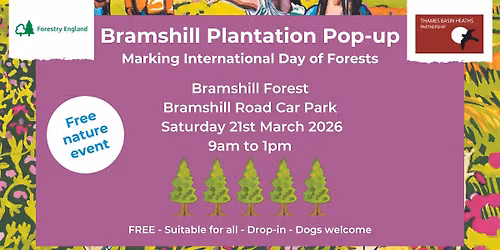 Bramshill Plantation Pop-up