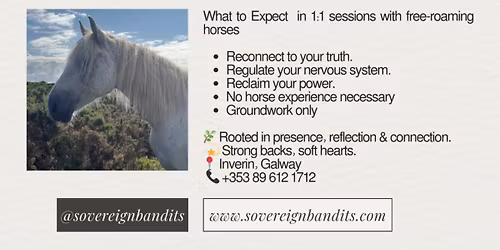Equine Guided Empowerment 1:1