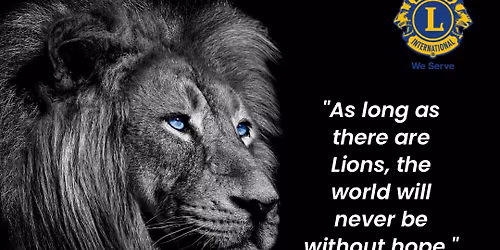 A Night at the Races