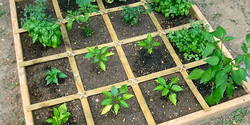 Square Foot Gardening