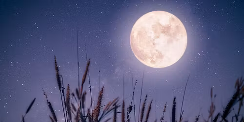 Full Moon Meditation