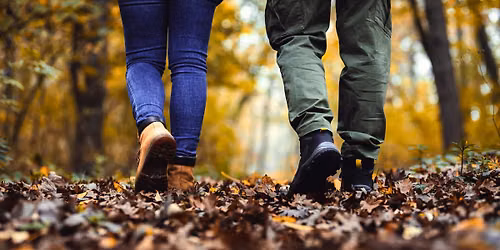 Forest Bathing at Huron Natural Area - FREE EVENT