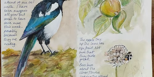 Nature Journalling at Hillsborough Park