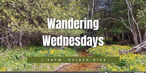 Wandering Wednesday - Free Naturalist-led Hike
