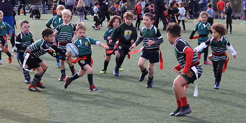 Rugby NorCal Club Championships