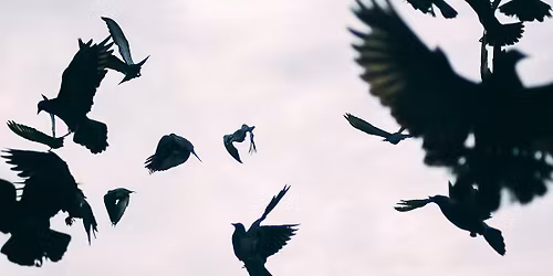 Archief van mogelijk verlies - Po\u00ebtische installatie over wat nog niet verloren is