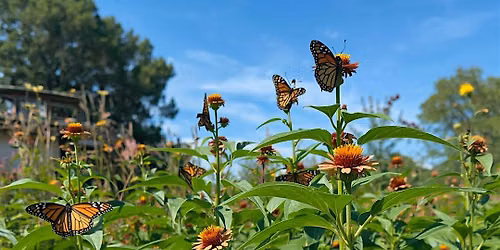 Pollinator Power