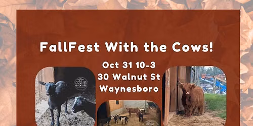 FallFest With the Cows