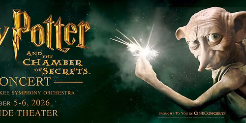 Milwaukee Symphony Orchestra - Harry Potter and the Chamber of Secrets in Concert at Riverside Theater - WI