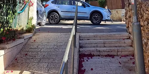 \u0414\u0435\u0432\u0447\u0430\u0447\u044c\u0438 \u043f\u043e\u0441\u0438\u0434\u0435\u043b\u043a\u0438