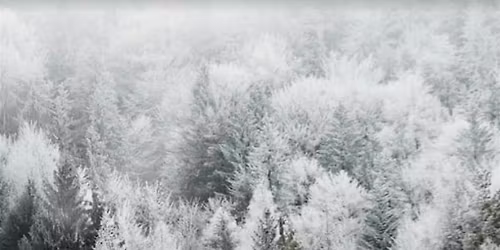 Racines d\u2019hiver - ralentir, descendre, s\u2019enraciner.