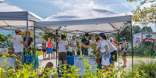Plant for Pollinators: Bees and Trees