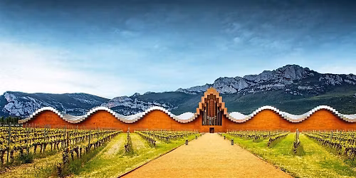Wine Wednesday: Grape Decisions: Spanish Edition