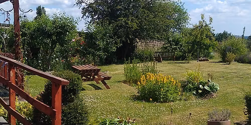 Embracing the No Dig Method 