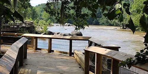 Mindfulness Walk to Boyd Island