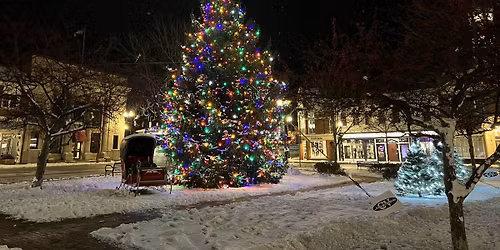 Lighting of the Greens!