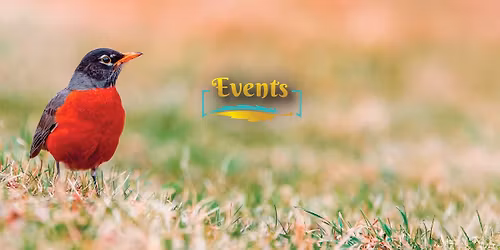 Getting Started with Bird Watching