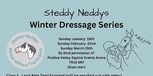 Steddy Neddys Winter Dressage