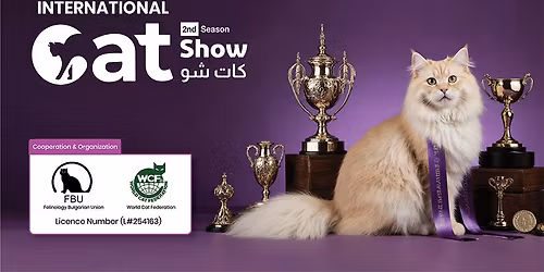 Cat Show in Riyadh