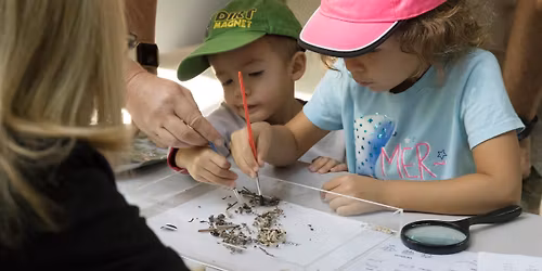Fall Homeschool Day | Terrific Taphonomy!