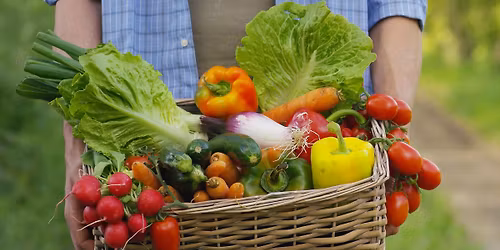 Frisco Rotary Farmers Market at Kaleidoscope Park