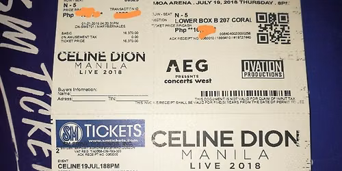 Celine Dion at Paris La Defense Arena