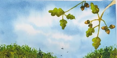 KEYSTONE PLANTS - HELPING ALL SPECIES THRIVE