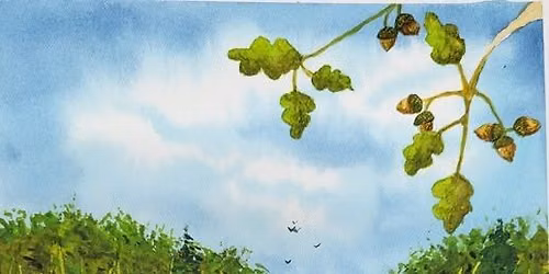 KEYSTONE PLANTS - HELPING ALL SPECIES THRIVE