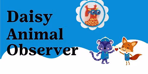 Daisy Animal Observer