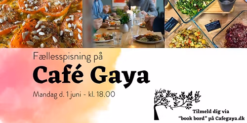 F\u00e6llesspisning p\u00e5 Caf\u00e9 Gaya - Januar