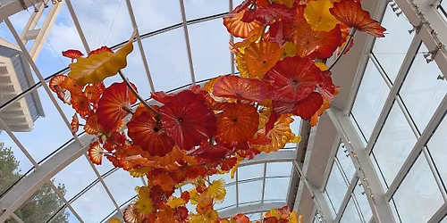 WCS Dancing in the Glasshouse - Final night of 2025!!