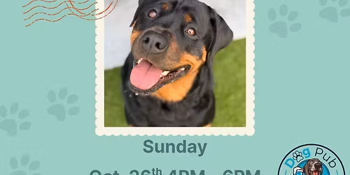 Rottweiler Meetup