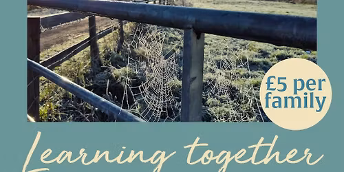 Learning Together Family Photography Trail