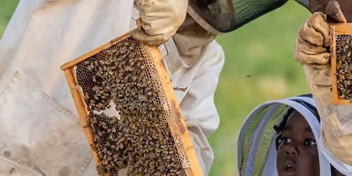 Honey Harvest Festival