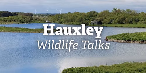 Hauxley Wildlife Talks: Bird ringing for beginners
