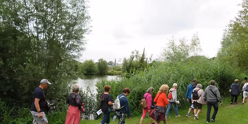 Seniorenweek - Kom je hoofd leegwandelen tijdens een verkwikkende herfstwandeling