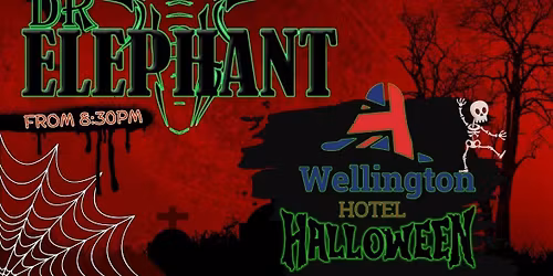Dr Elephant - Wellington Hotel Bunbury