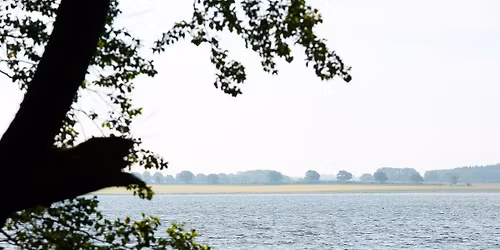 Guidet fremvisning af Salt\u00f8 Skovbegravelsesplads \ud83c\udf33