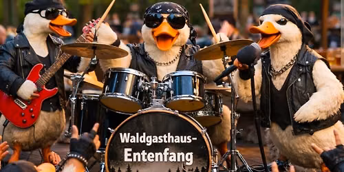 Rock Live am Entenfang 